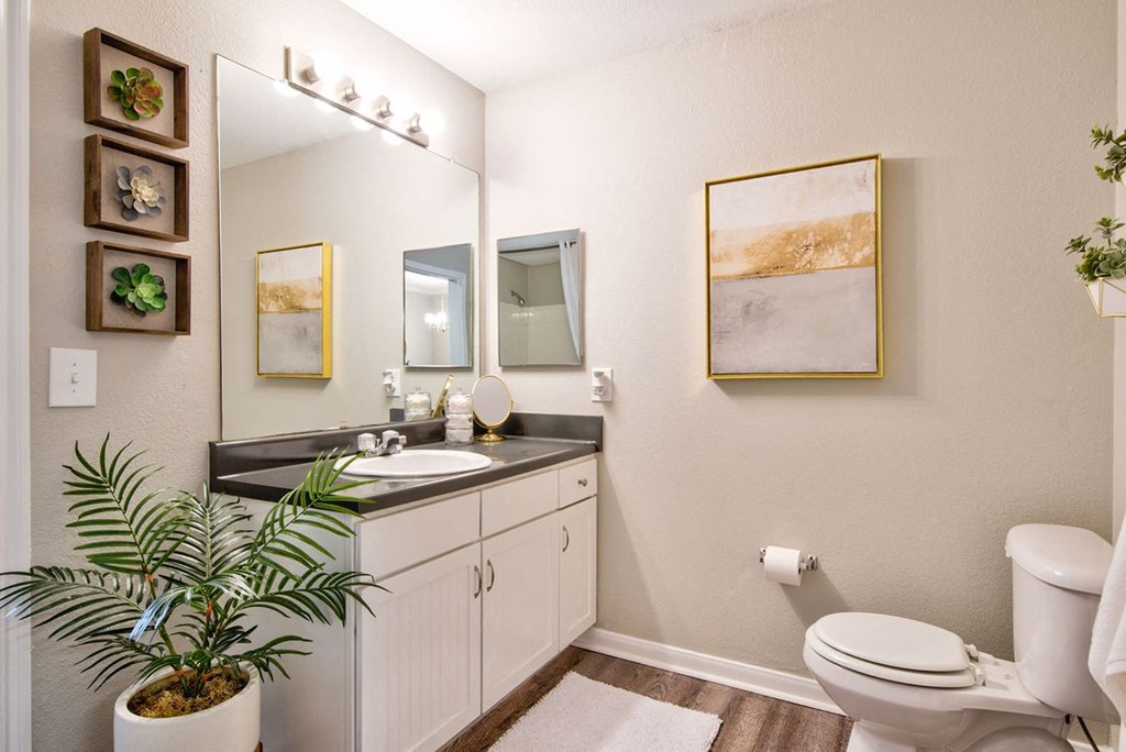 spacious bathroom well lit