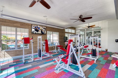 a gym with weights and cardio equipment in a room with windows