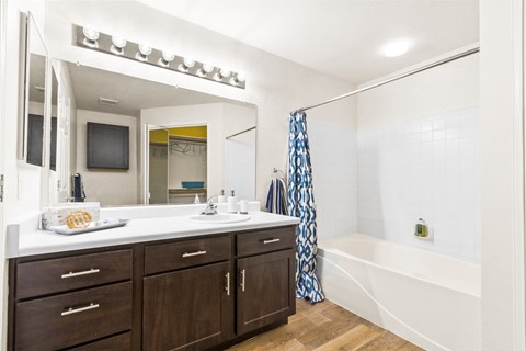 a bathroom with a tub and a sink and a mirror