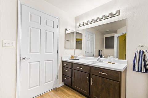 a bathroom with a large mirror and a sink