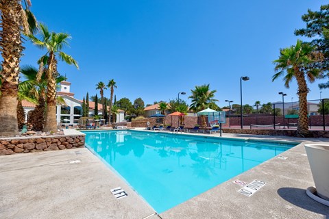 the swimming pool at the resort with palm trees