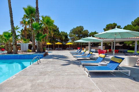 the swimming pool at the resort