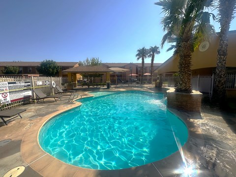 A large outdoor swimming pool surrounded by palm trees and a sunny sky.