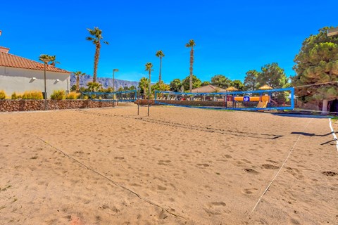 a sand volleyball court on a beach with palm trees