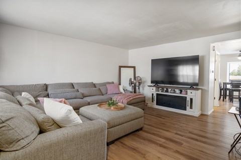 A living room with a grey couch and a television.