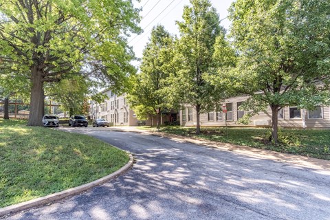A tree-lined street with cars parked on the side.