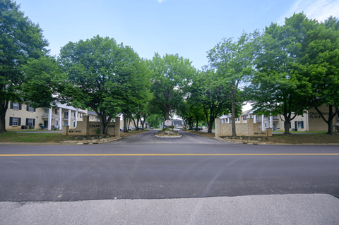 an empty street in a neighborhood with trees