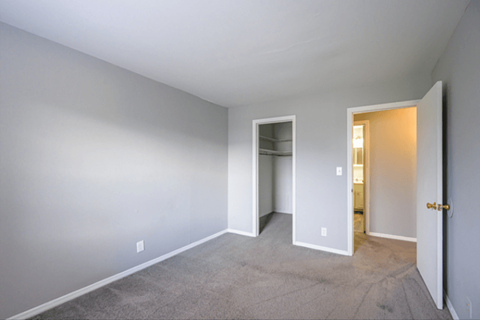 Empty bedroom with carpet and walk-in closet