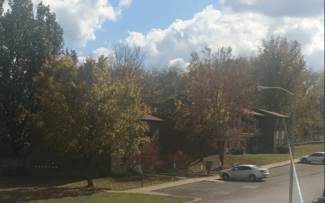 a house on the corner of a street with trees and a car