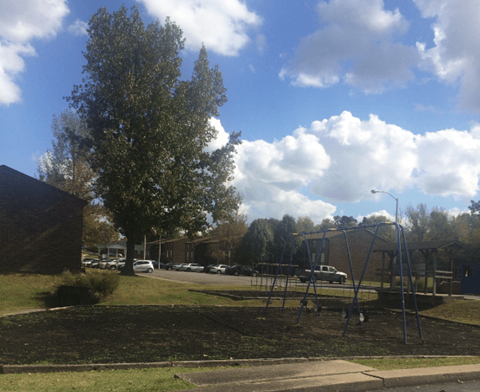 A playground with a swing set and a tree in the background.