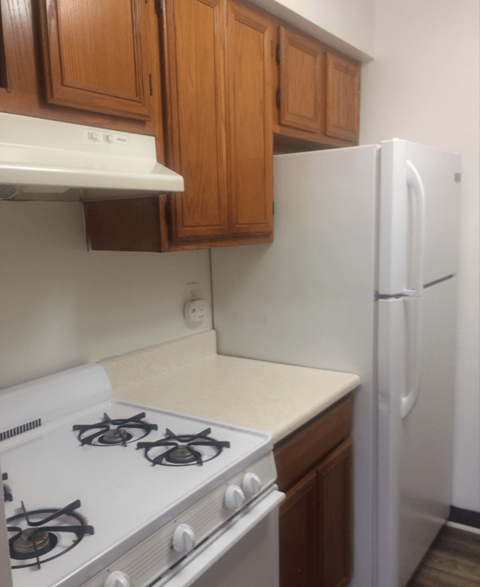 100 Pritchett Drive 1 Apartment for Rent