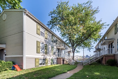A tree is in front of a building.