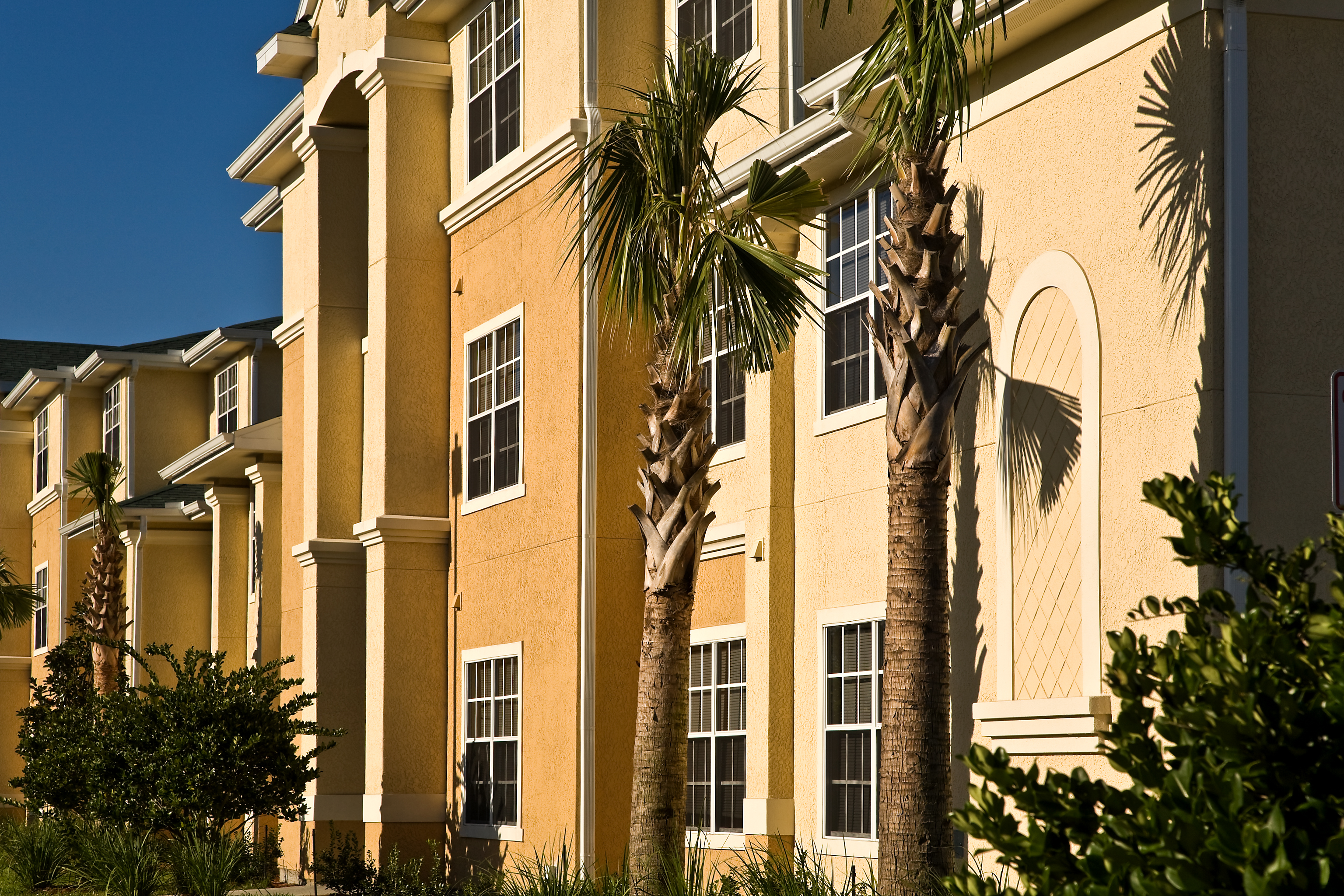 A building with columns and a palm tree in front.