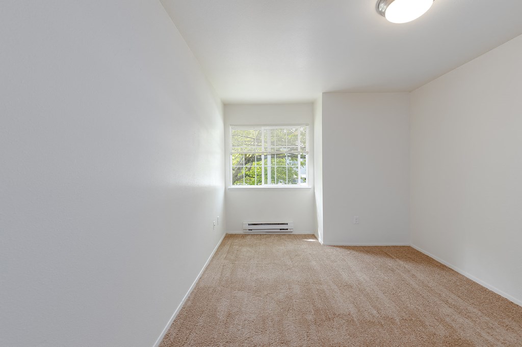 a spacious living room with a window and carpet