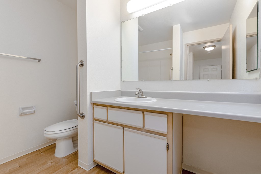a bathroom with a sink and a toilet and a mirror