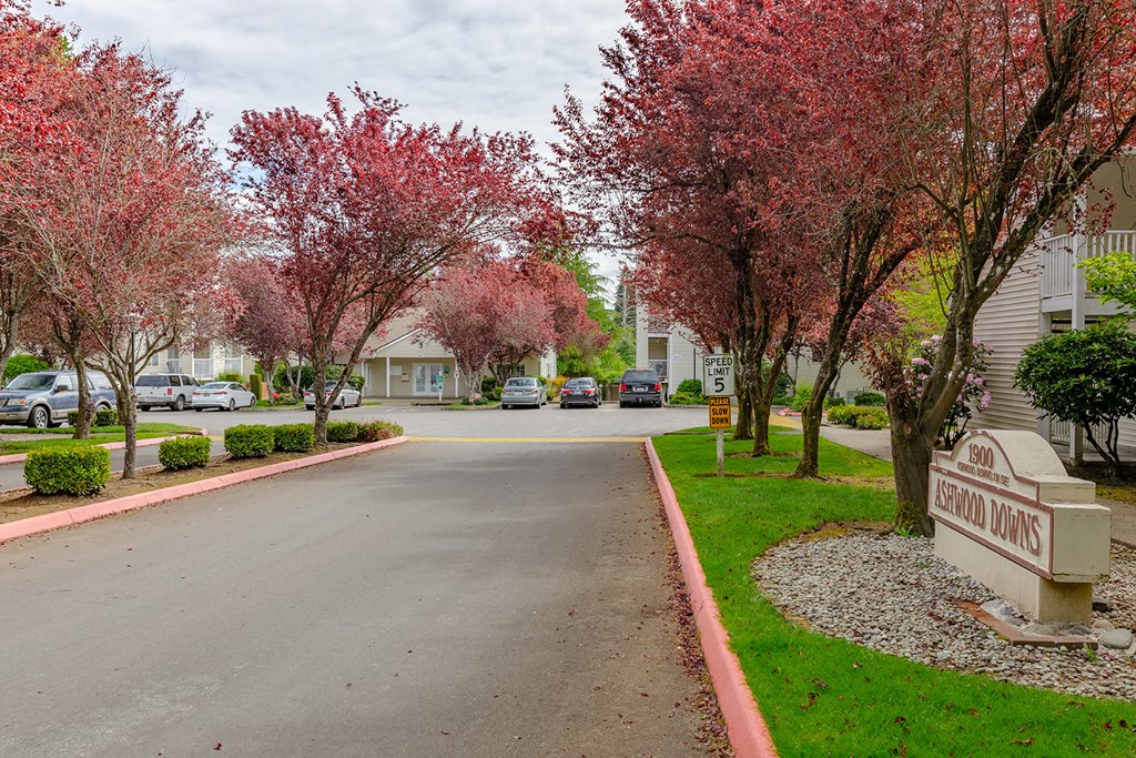 a tree lined street with a sign on the side of a road