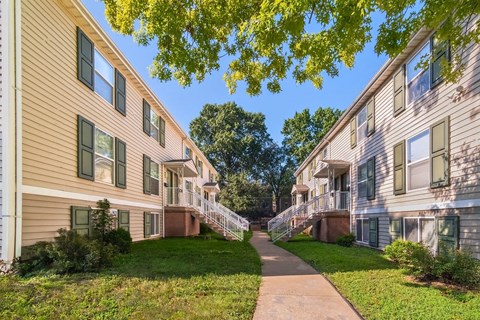 A tree branch is in the foreground of a residential area.