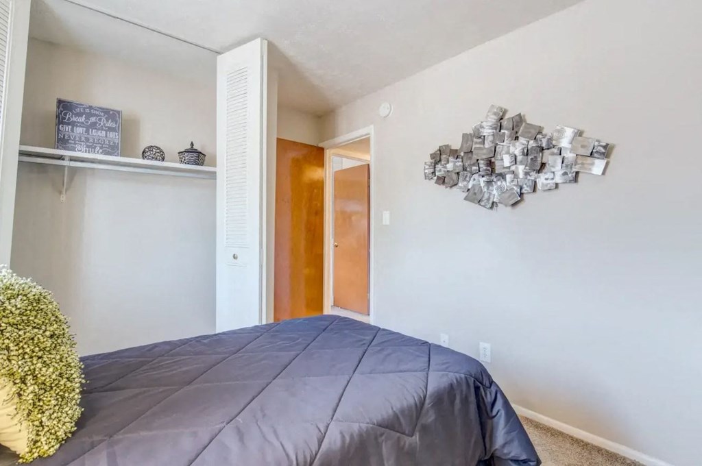 a bedroom with a large bed and a closet