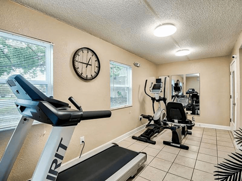 A home gym with a treadmill, exercise bike, and mirror.