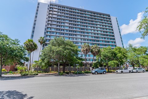 an empty parking lot in front of a tall building with palm trees