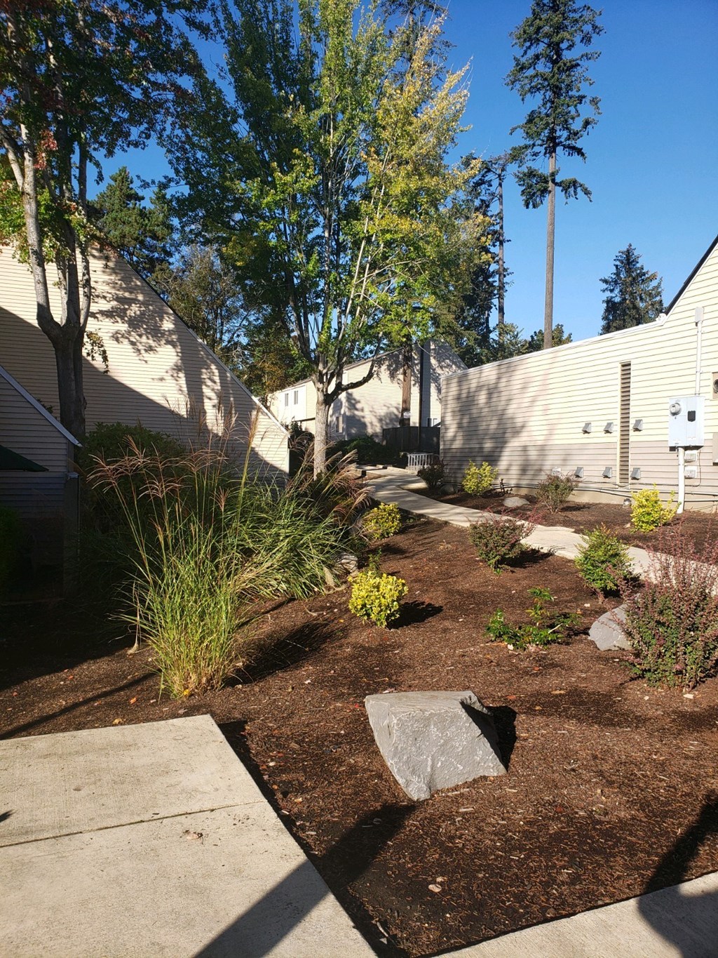 a view of the front yard of a house with a sidewalk and plants