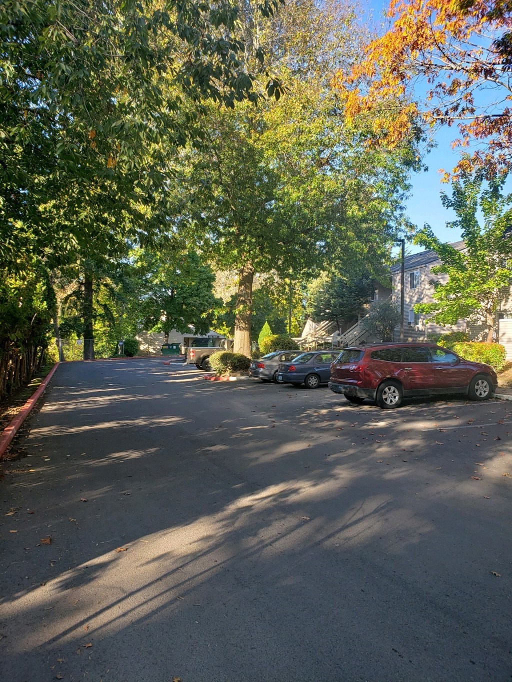 a tree lined street with cars parked on the side