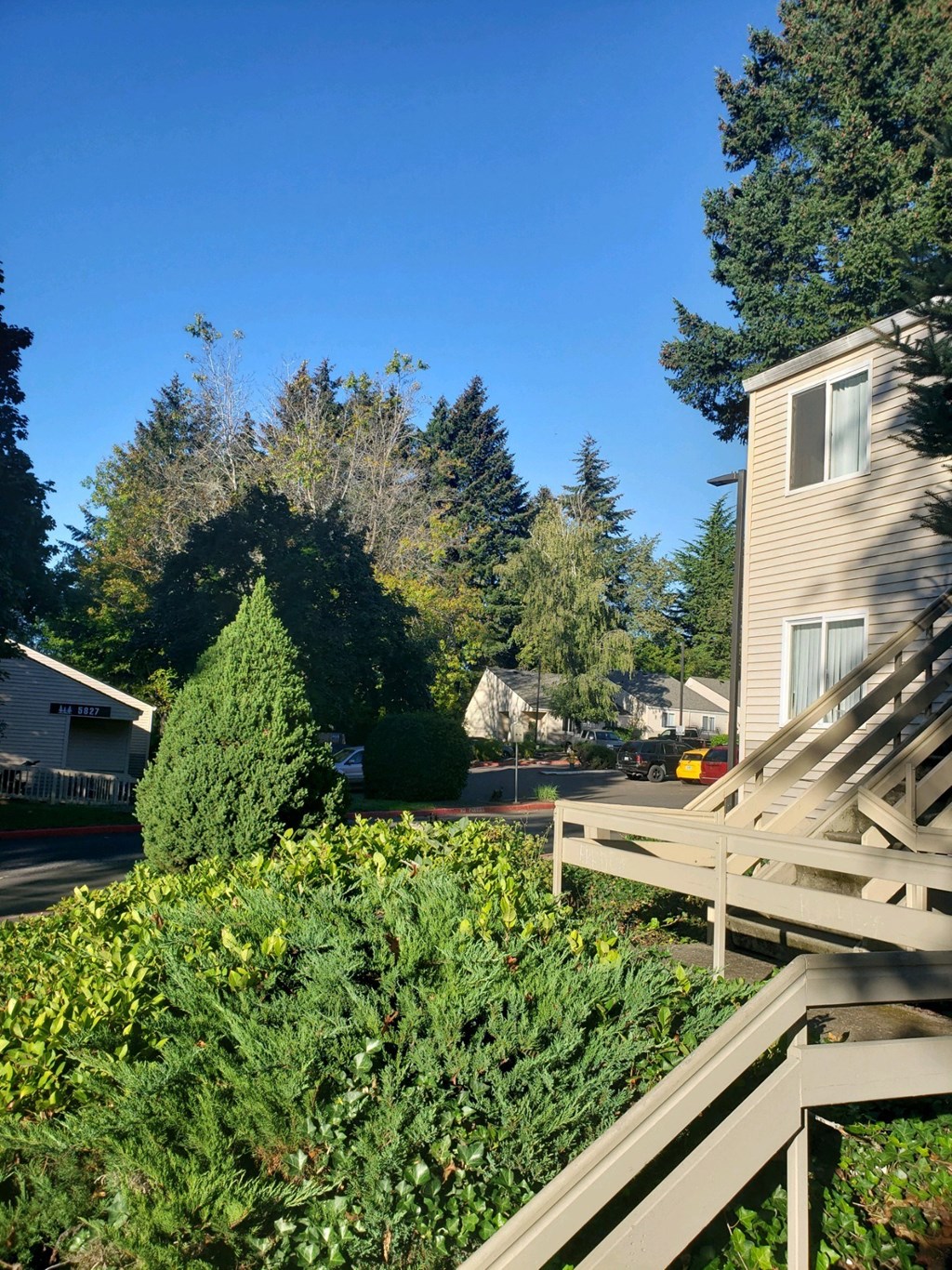 a view of a house and a yard with bushes and trees