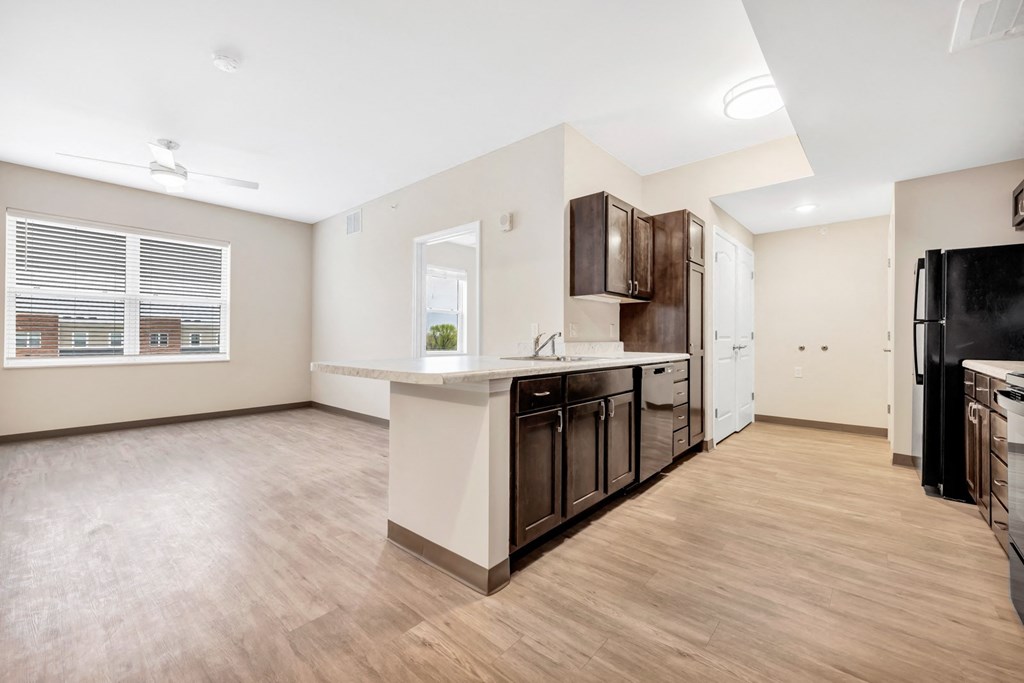the preserve at ballantyne commons apartment living room and kitchen