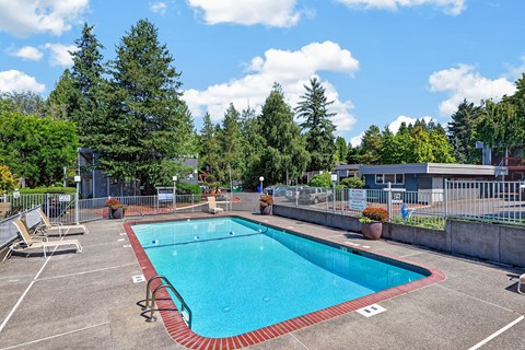 A large outdoor swimming pool surrounded by trees and a fence.