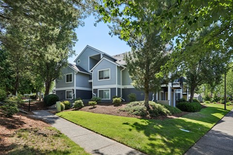A modern house with a grey exterior is surrounded by greenery and a well-maintained lawn.