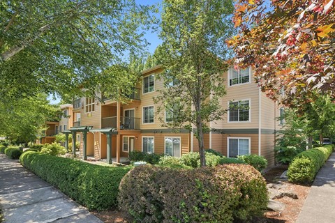 A row of apartment buildings with green trees in front.