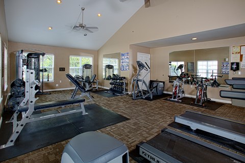 A gym with a treadmill, weights, and exercise equipment.