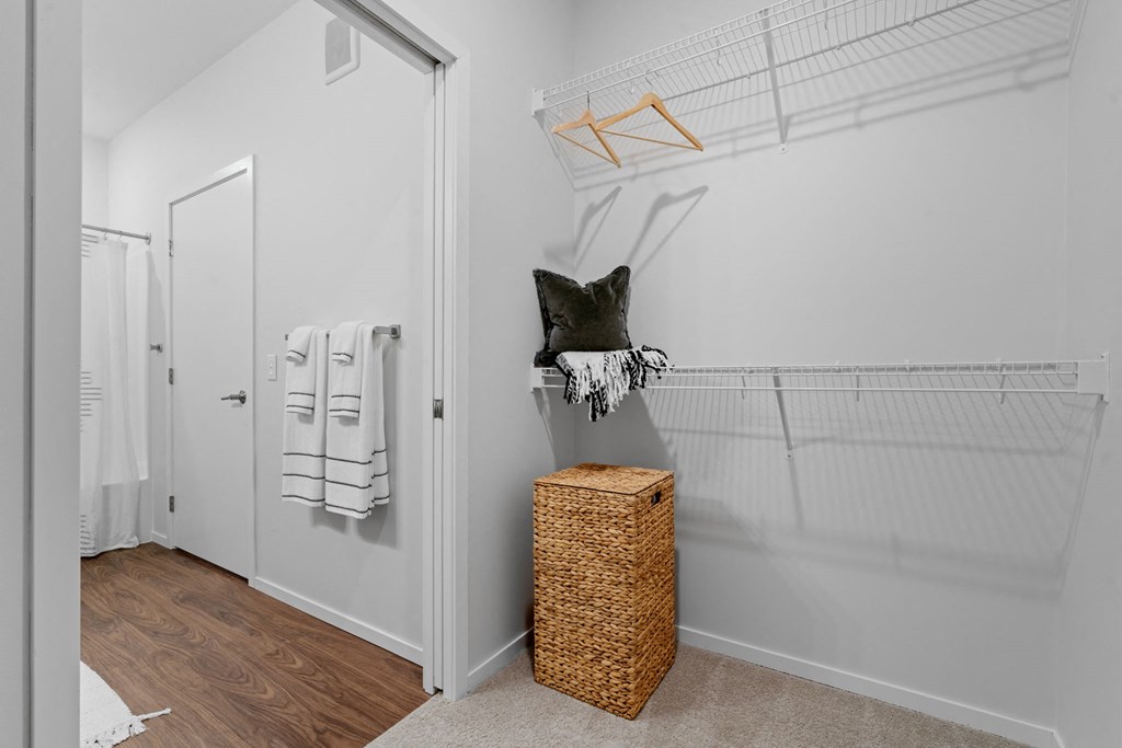 A room with a cat sitting on a shelf.