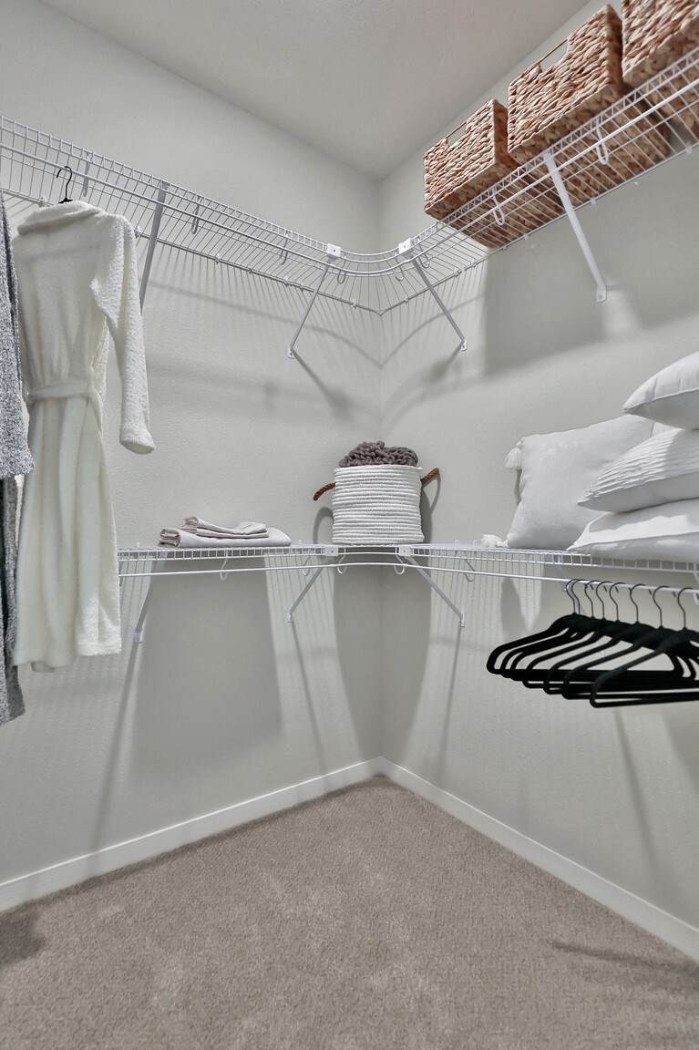 a spacious walk in closet with white walls and carpeted flooring