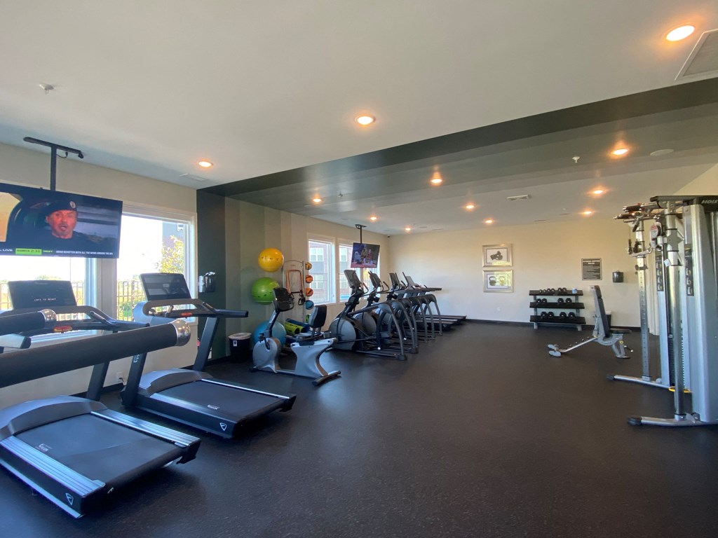 a room filled with lots of cardio equipment and a flat screen tv