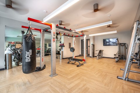 a gym with a punching bag and weights on the floor