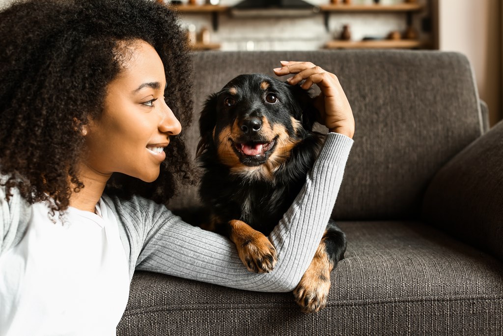A woman with curly hair is sitting on a grey couch with a black and tan dog on her lap.
