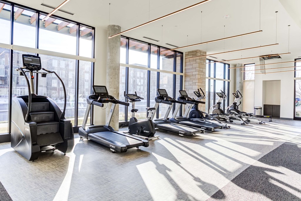 a row of treadmills and elliptical trainers in a gym