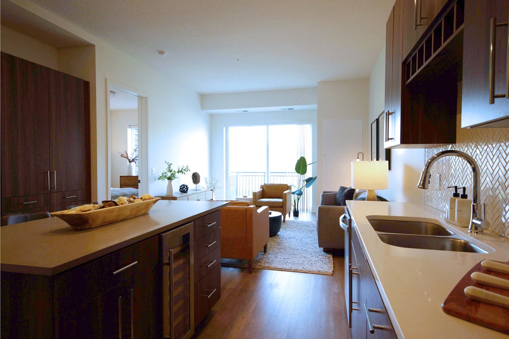 Kitchen and Living Area