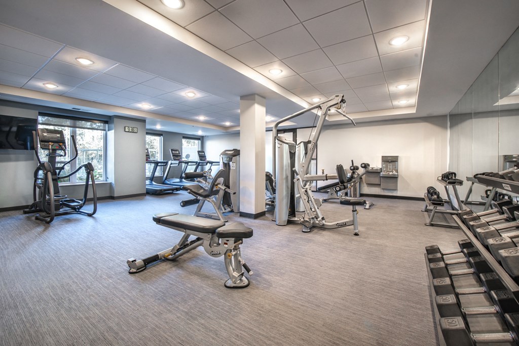 the gym at the benjamin pa