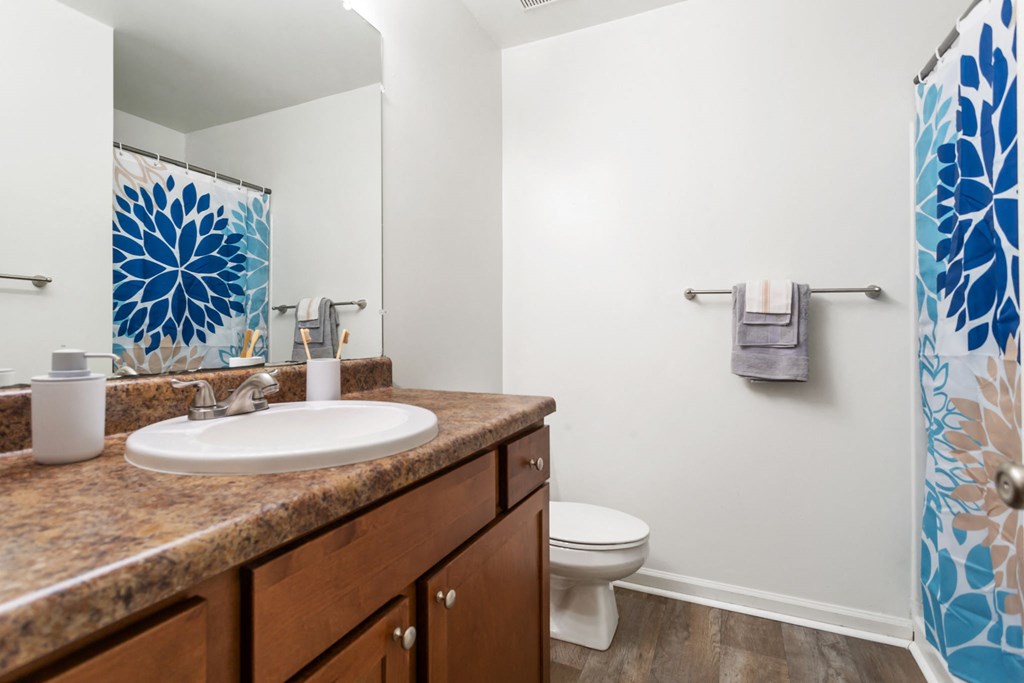 a bathroom with a sink and toilet and a mirror