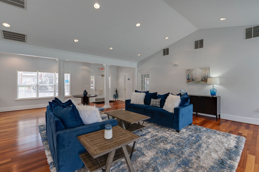 a living room with blue couches and a blue rug