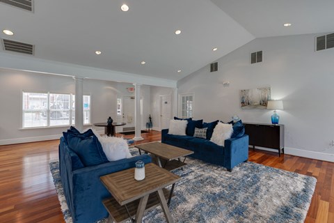 a living room with blue couches and a blue rug