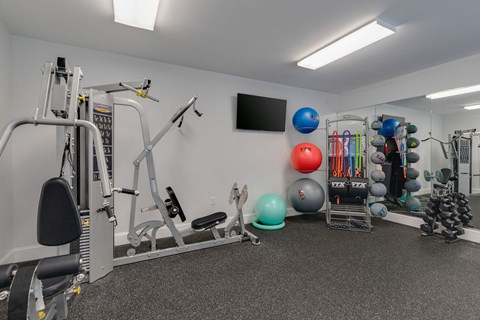 a gym with weights and other exercise equipment on a wall