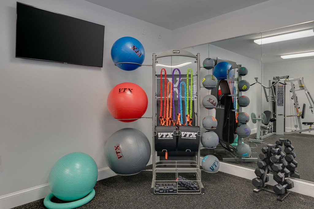 a workout room with weights and balls and a television