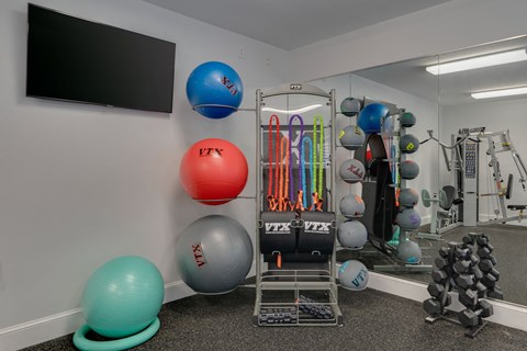 a workout room with weights and balls and a television
