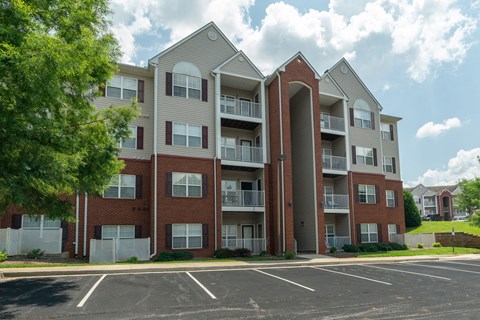 the seamless pattern with stars is rotating on a white background