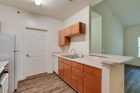 a kitchen with a sink and a refrigerator and a door