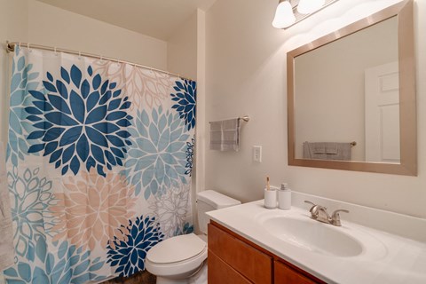 a bathroom with a sink and a shower with a blue and white shower curtain