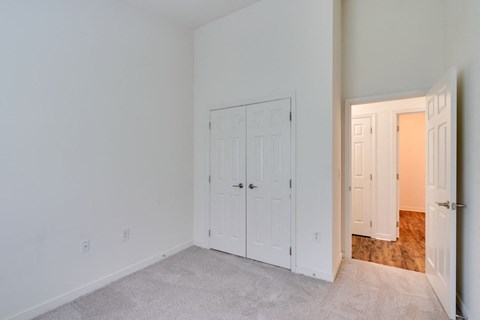 a bedroom with two closets and a door into a hallway